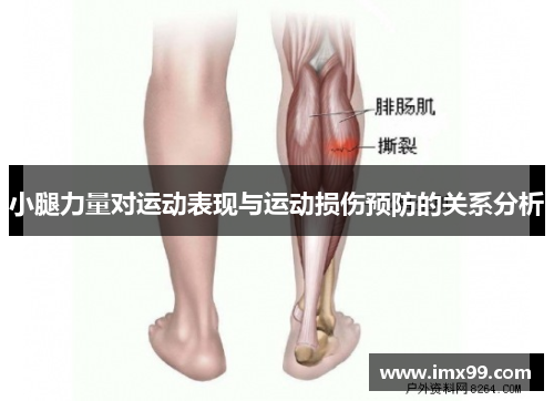 小腿力量对运动表现与运动损伤预防的关系分析